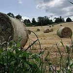 Fiore Cerreto di Spoleto
