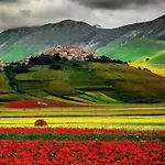 Fiore *