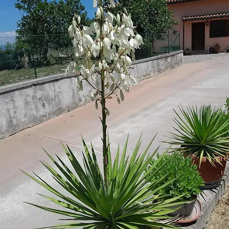 Apartment Fiore Cerreto di Spoleto