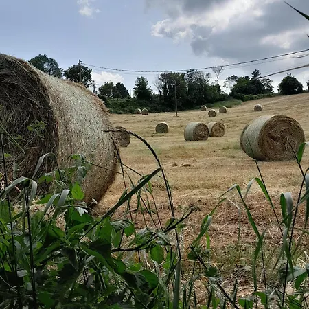 Fiore Cerreto di Spoleto