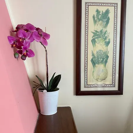 Fiore Apartment *