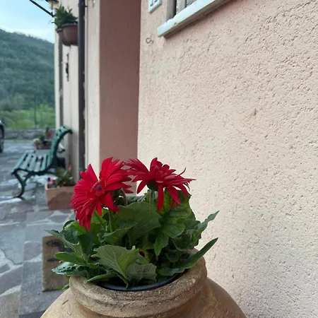 Apartment Fiore