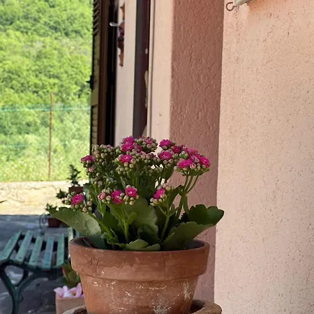 Appartamento Fiore *