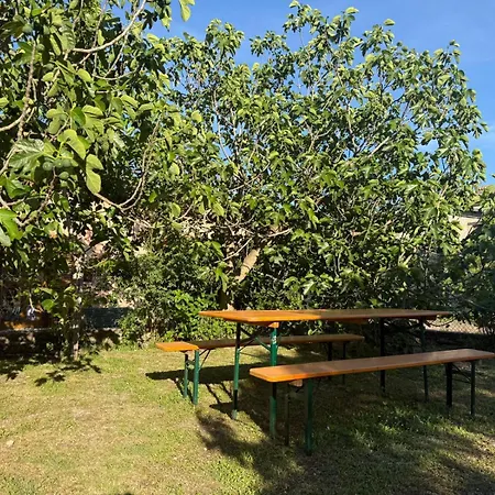 Fiore Appartamento Cerreto di Spoleto