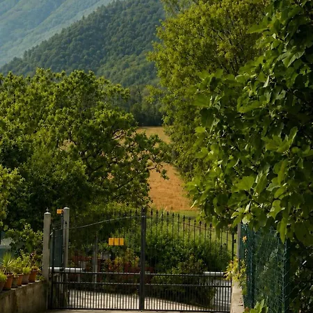 Fiore * Cerreto di Spoleto