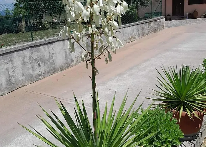 Apartament Fiore Cerreto di Spoleto