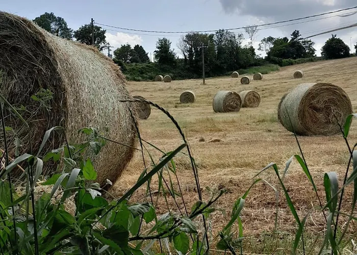 Fiore Cerreto di Spoleto