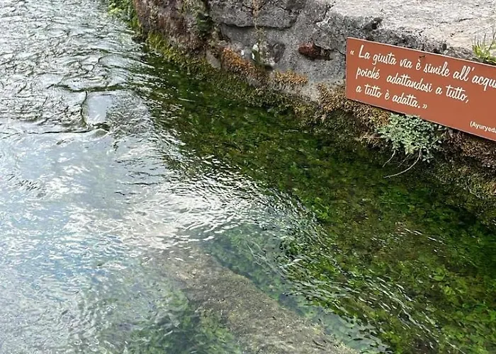 Fiore * Cerreto di Spoleto