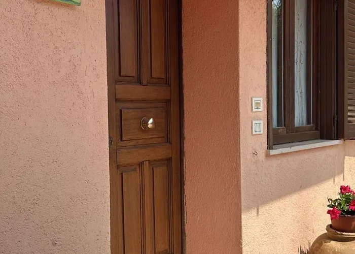 Fiore Cerreto di Spoleto